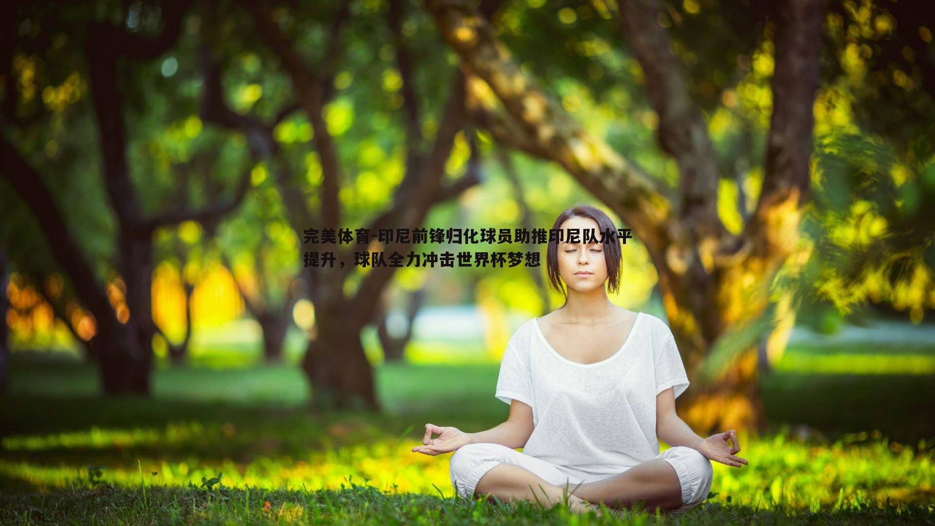 印尼前锋归化球员助推印尼队水平提升，球队全力冲击世界杯梦想